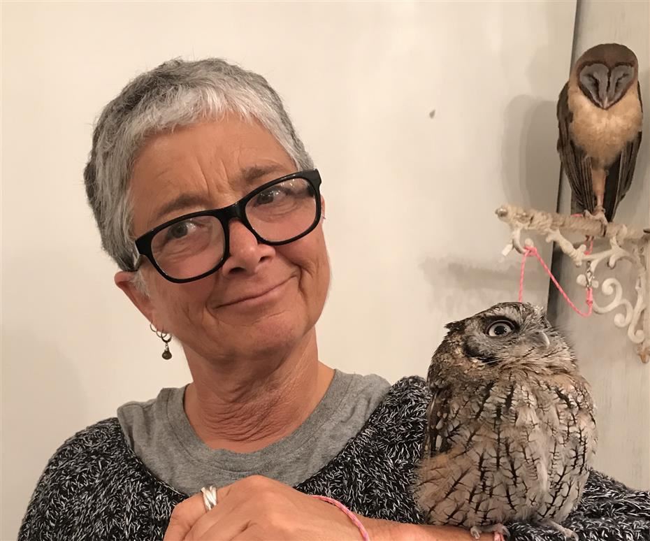 owl cafe Tokyo owl cafe Tokyo